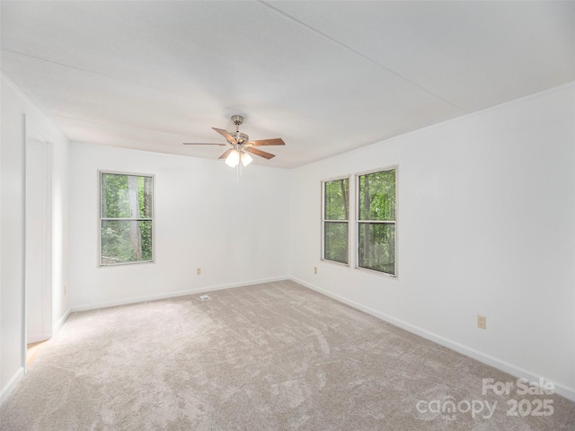 590 Hutch Mountain Rd, Fletcher, NC 28732 - photo 14