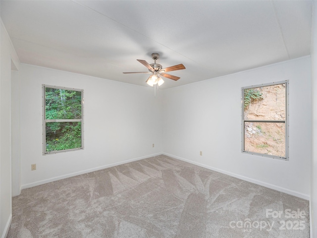 590 Hutch Mountain Rd, Fletcher, NC 28732 - photo 19