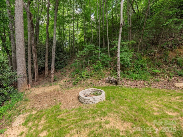 590 Hutch Mountain Rd, Fletcher, NC 28732 - photo 20