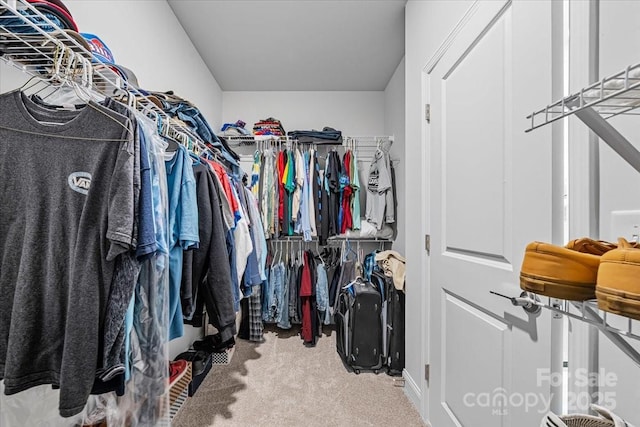 1302 Black Walnut St, Monroe, NC 28112 - spacious closet with carpet