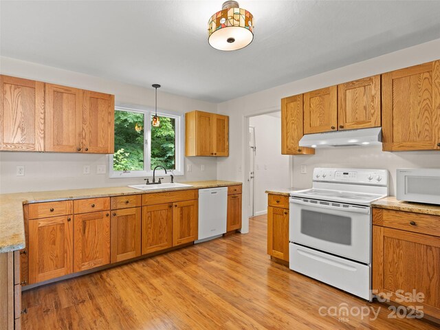 71 Auburn Park Dr, Waynesville, NC 28786 - kitchen with white appliances, under cabinet range hood, light wood-style floors, and light countertops