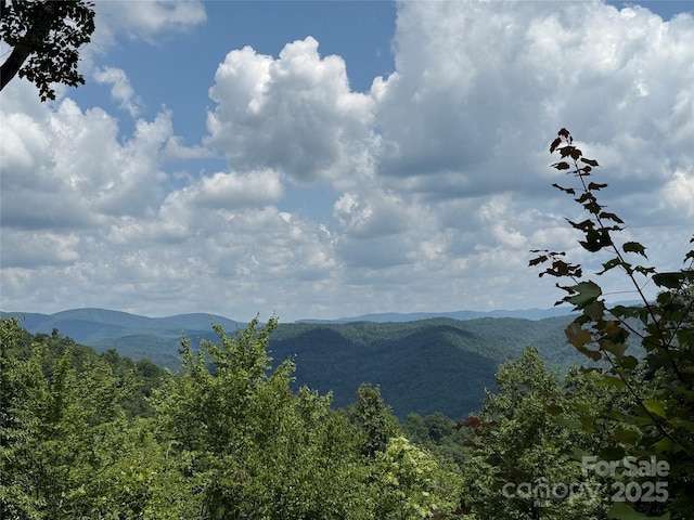 337 Lucas Path Dr Unit 69, Purlear, NC 28665