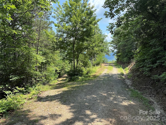 337 Lucas Path Dr Unit 69, Purlear, NC 28665