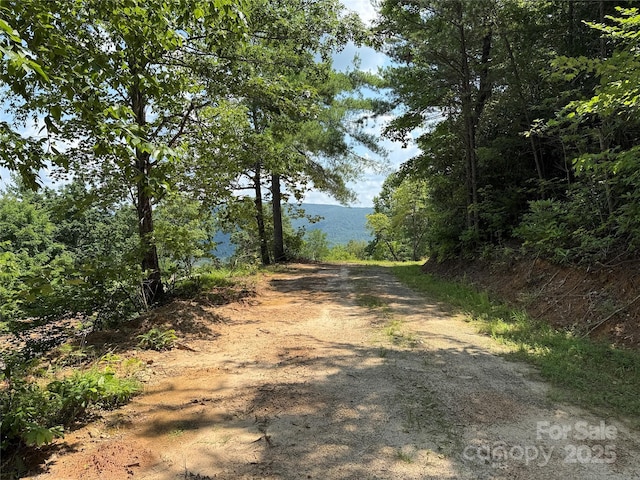 337 Lucas Path Dr Unit 69, Purlear, NC 28665