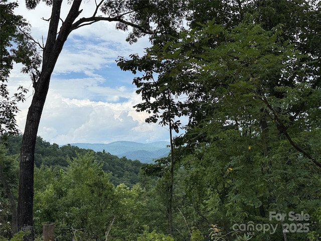 337 Lucas Path Dr Unit 69, Purlear, NC 28665