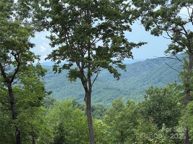 337 Lucas Path Dr Unit 69, Purlear, NC 28665