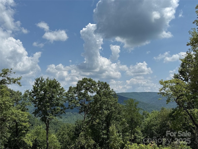 337 Lucas Path Dr Unit 69, Purlear, NC 28665