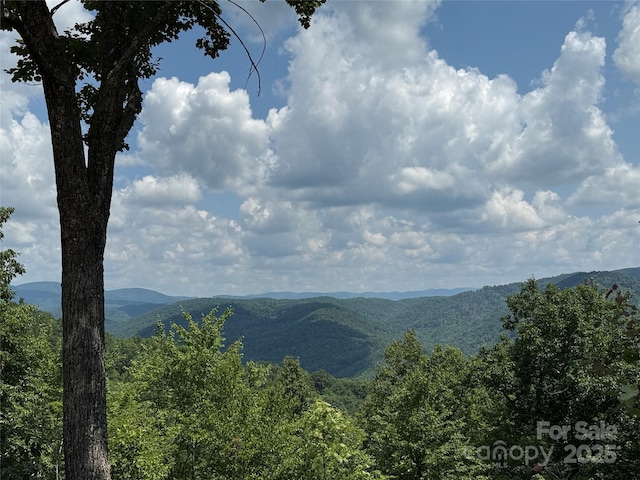 337 Lucas Path Dr Unit 69, Purlear, NC 28665
