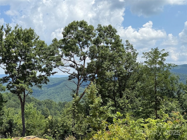 337 Lucas Path Dr Unit 69, Purlear, NC 28665