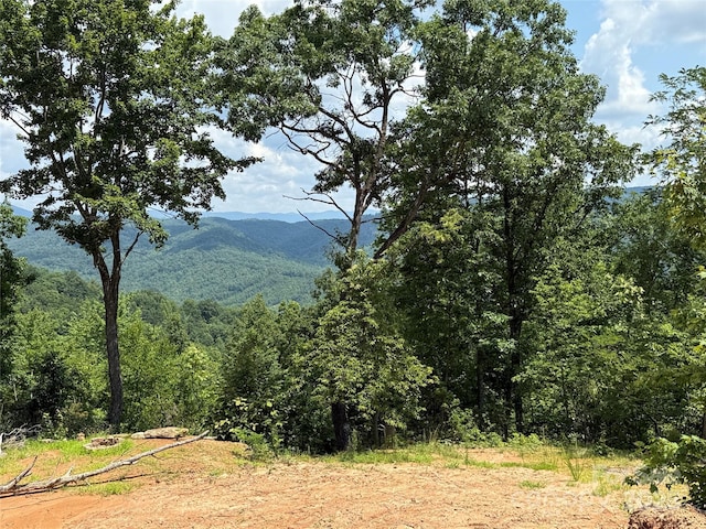 337 Lucas Path Dr Unit 69, Purlear, NC 28665