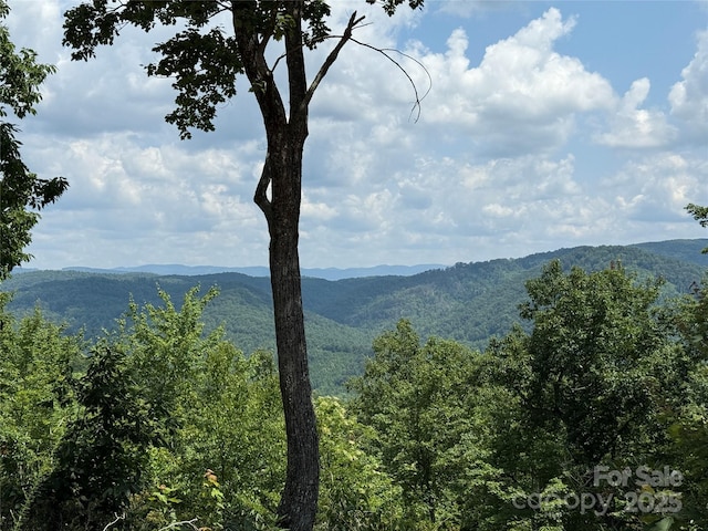 337 Lucas Path Dr Unit 69, Purlear, NC 28665