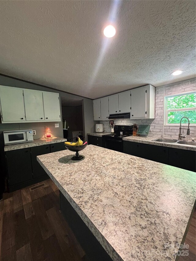 2877 Shannon St, Sharon, SC 29742 - kitchen with black / electric stove, white microwave, dark wood-type flooring, under cabinet range hood, and light countertops