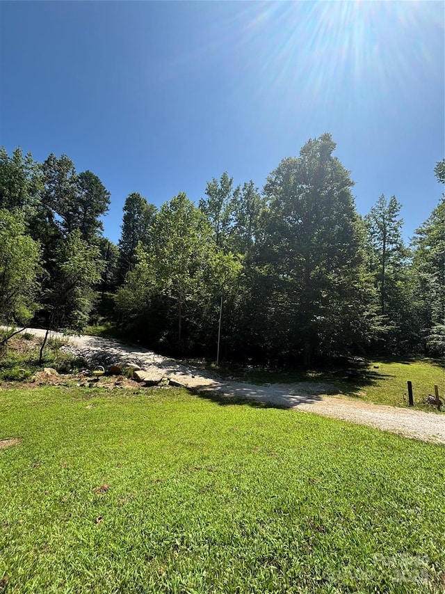 2877 Shannon St, Sharon, SC 29742 - view of green lawn