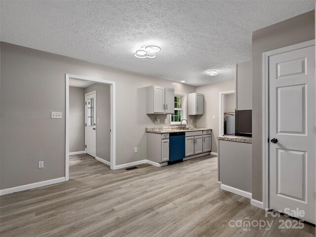 19 Cedar St, Canton, NC 28716 - kitchen featuring dishwasher, light wood-style flooring, a textured ceiling, and gray cabinetry