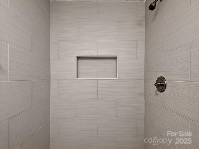 19 Cedar St, Canton, NC 28716 - bathroom view of a tile shower