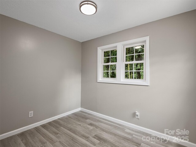 19 Cedar St, Canton, NC 28716 - unfurnished room with light wood-style flooring and baseboards