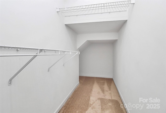 4580 Antelope Ln, Charlotte, NC 28269 - spacious closet featuring carpet floors