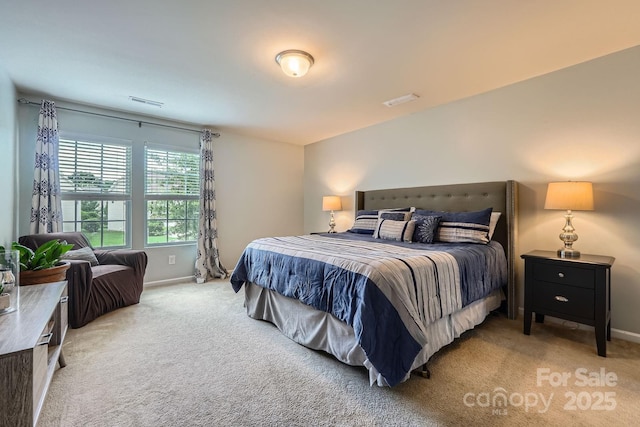 10920 Dapple Grey Ln, Charlotte, NC 28213 - carpeted bedroom with baseboards