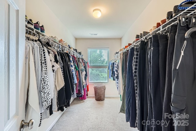 10920 Dapple Grey Ln, Charlotte, NC 28213 - spacious closet featuring carpet