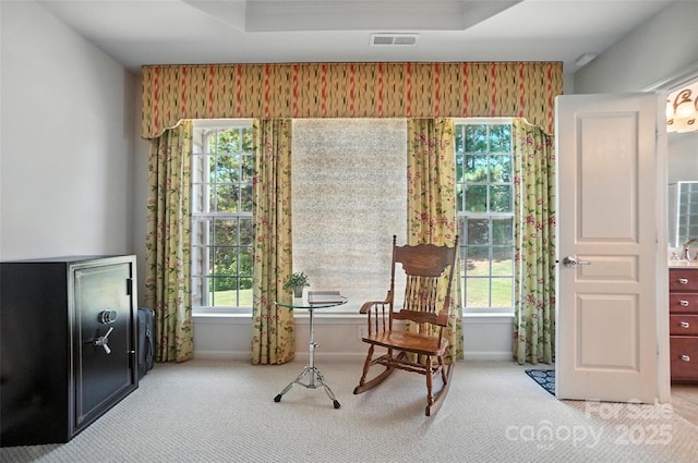 41166 Calla Lily St, Fort Mill, SC 29707 - photo 24