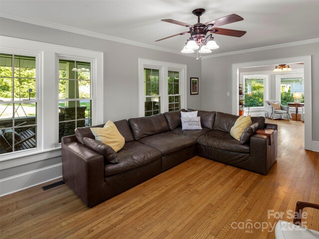 169 Love Ln, Waynesville, NC 28786 - photo 7
