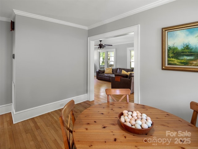 169 Love Ln, Waynesville, NC 28786 - photo 10