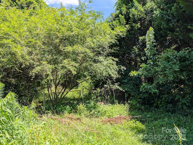 59 Poteat St, Fletcher, NC 28732 - photo 23