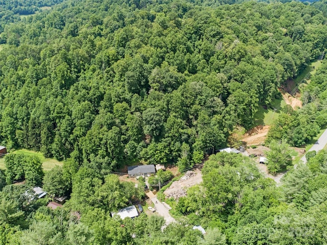 351 Swiss Loop, Burnsville, NC 28714 - photo 17