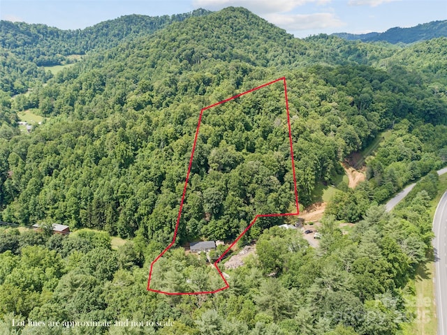 351 Swiss Loop, Burnsville, NC 28714 - photo 18