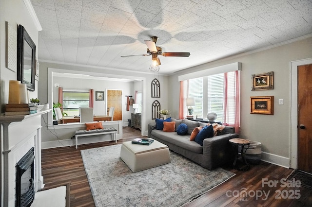 417 Williamson St, Fort Mill, SC 29715 - photo 8