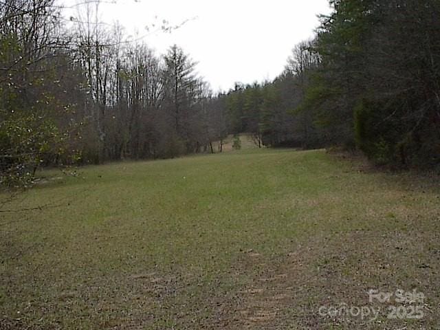0000 Dandelion Dr, Taylorsville, NC 28681 - photo 5