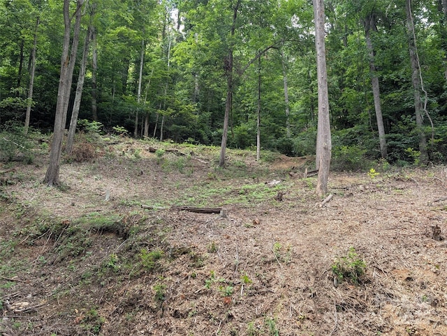 99999 Running Deer Ln Unit 72, Mars Hill, NC 28754