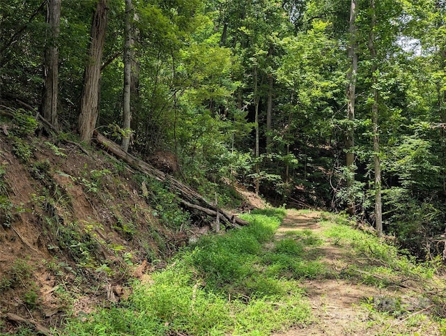 99999 Running Deer Ln Unit 72, Mars Hill, NC 28754