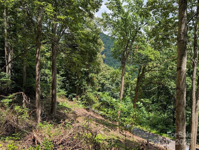 99999 Running Deer Ln Unit 72, Mars Hill, NC 28754