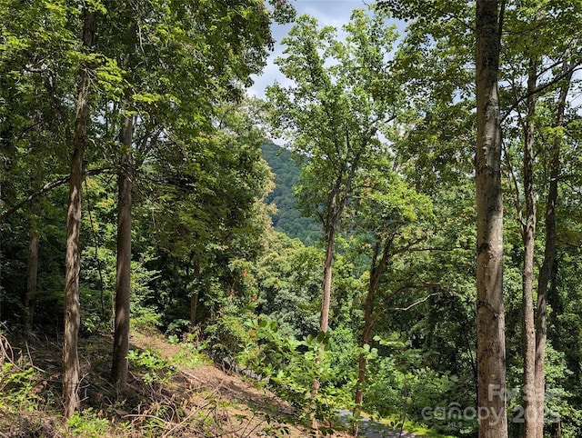 99999 Running Deer Ln Unit 72, Mars Hill, NC 28754