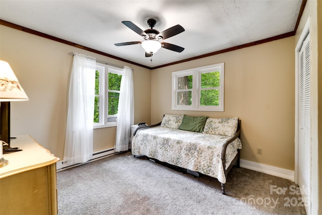 590 Claude Cook Rd, Sylva, NC 28779 - bedroom with multiple windows, carpet floors, a closet, ornamental molding, and a ceiling fan