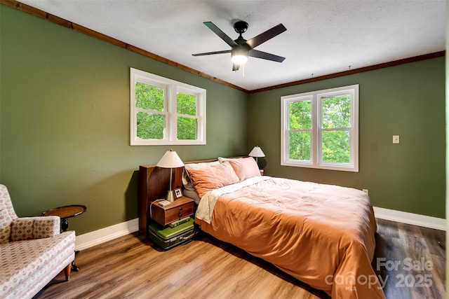590 Claude Cook Rd, Sylva, NC 28779 - bedroom with multiple windows, crown molding, wood finished floors, and a ceiling fan