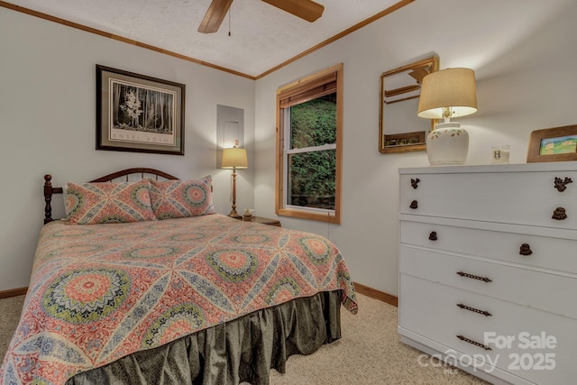 535 Rocky Top Rd, Maggie Valley, NC 28751 - photo 24