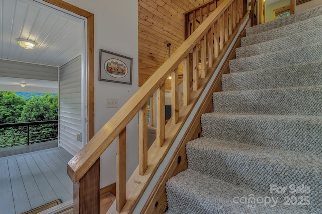 535 Rocky Top Rd, Maggie Valley, NC 28751 - photo 26