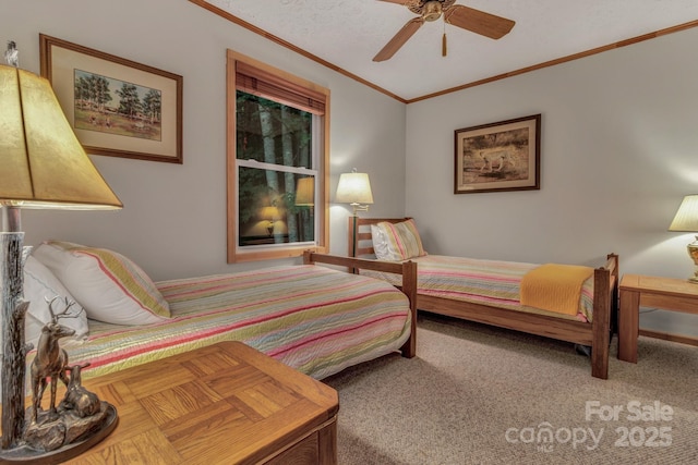 535 Rocky Top Rd, Maggie Valley, NC 28751 - photo 30