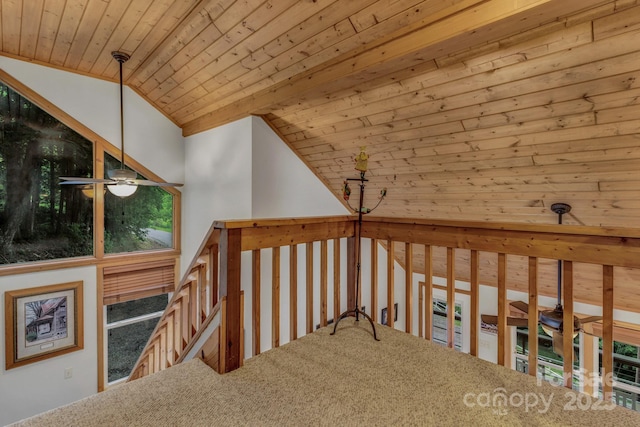 535 Rocky Top Rd, Maggie Valley, NC 28751 - photo 32