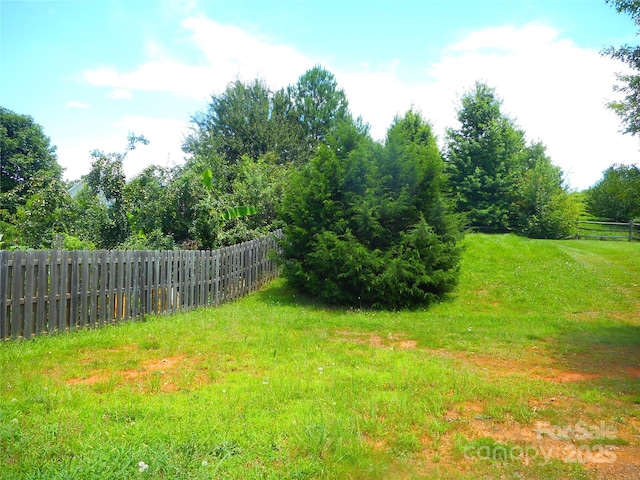 15321 Superior St, Charlotte, NC 28273 - view of yard