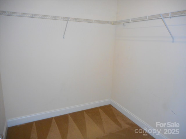 15321 Superior St, Charlotte, NC 28273 - spacious closet with carpet
