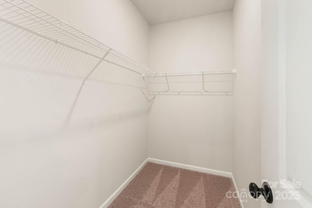 1066 Russell Dr, Winston Salem, NC 27127 - spacious closet with carpet