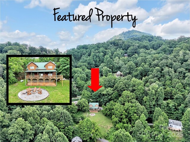 1064 Point Of View Dr, Waynesville, NC 28785 - view of property location featuring a heavily wooded area and property boundaries highlighted
