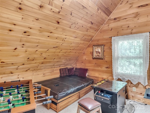 1064 Point Of View Dr, Waynesville, NC 28785 - bedroom with vaulted ceiling, carpet flooring, wood walls, and wooden ceiling