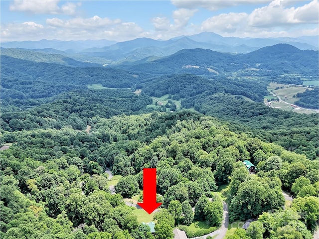 1064 Point Of View Dr, Waynesville, NC 28785 - bird's eye view of a forest and a mountainous background