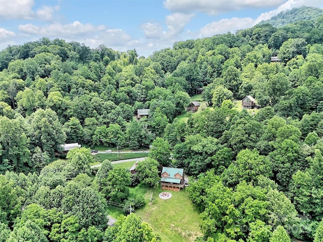 1064 Point Of View Dr, Waynesville, NC 28785 - aerial view of property and surrounding area with a heavily wooded area