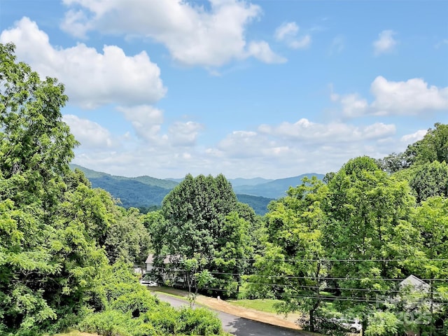 1064 Point Of View Dr, Waynesville, NC 28785 - view of mountain background