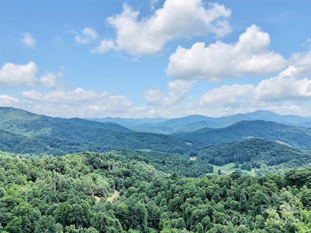 1064 Point Of View Dr, Waynesville, NC 28785 - mountain view featuring a forest